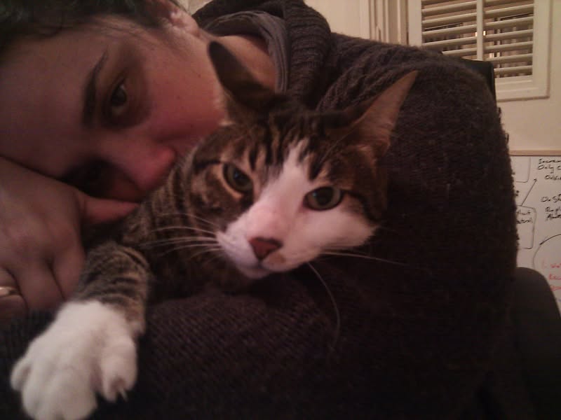 הנהלת סטיבי ביום רגוע