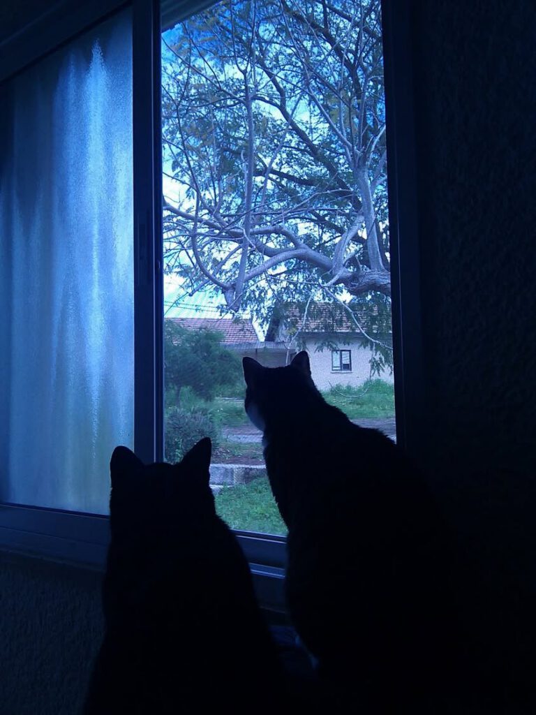 Gil Rimon added a new photo.