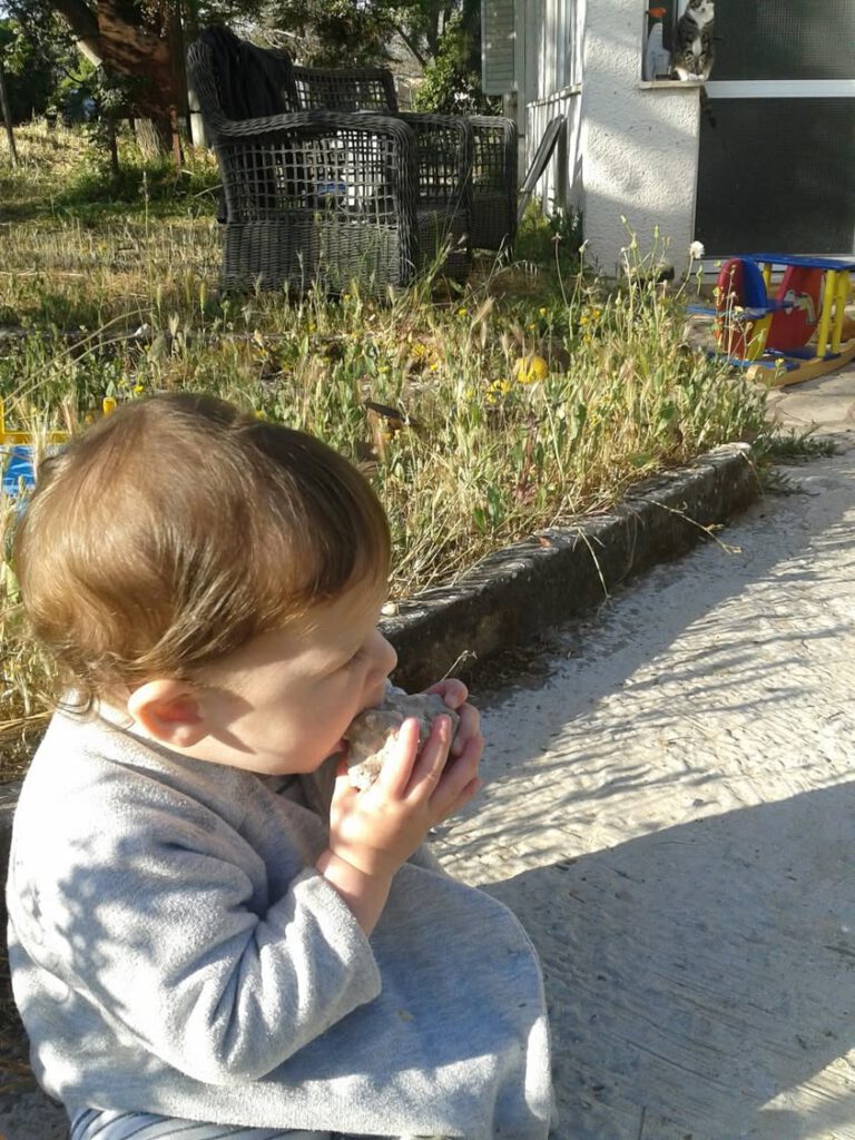 ובינתיים במושב, עומר גדל ולמד סוף-סוף לאכול סלעים. חסכוני