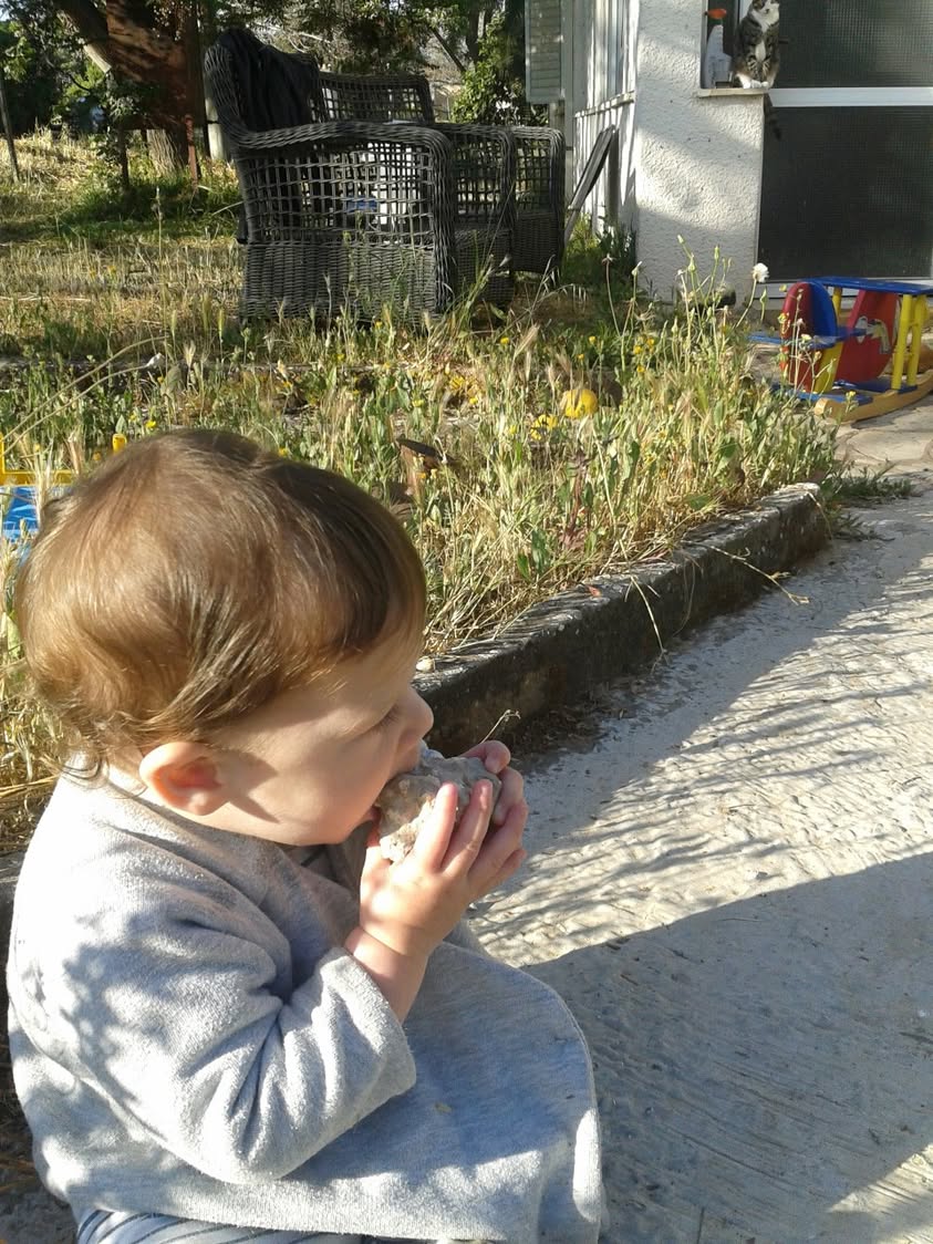 ובינתיים במושב, עומר גדל ולמד סוף-סוף לאכול סלעים. חסכוני