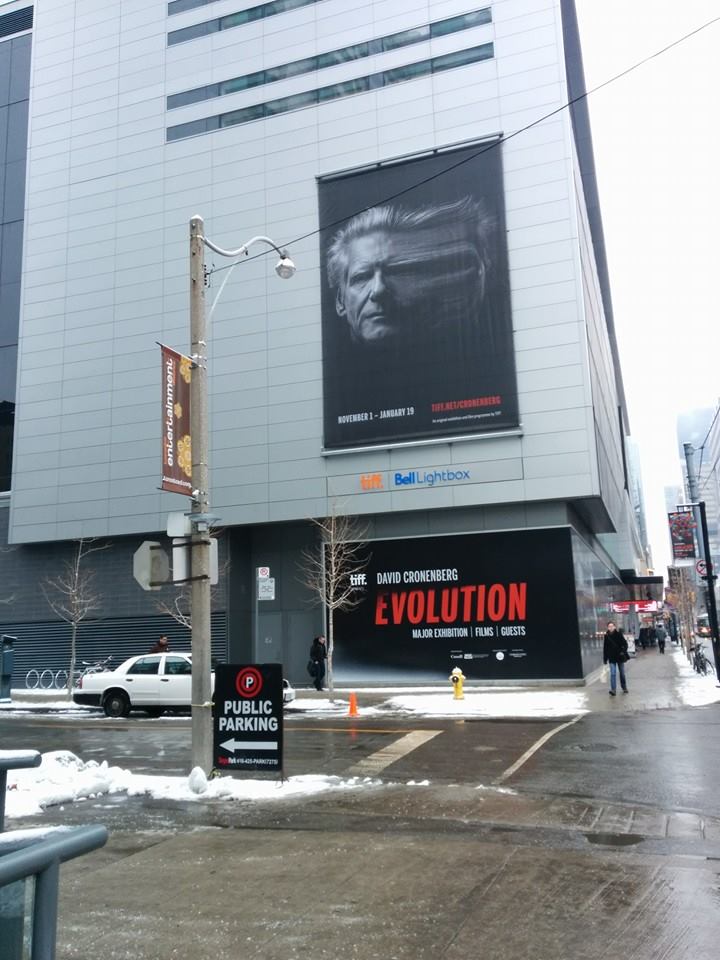 Home, after a beautiful layover in snowy Toronto