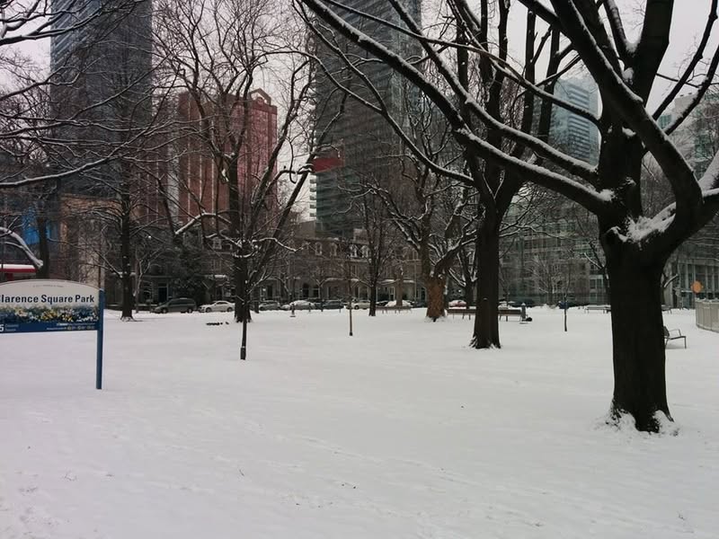 Home, after a beautiful layover in snowy Toronto