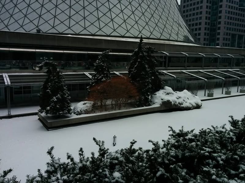 Home, after a beautiful layover in snowy Toronto