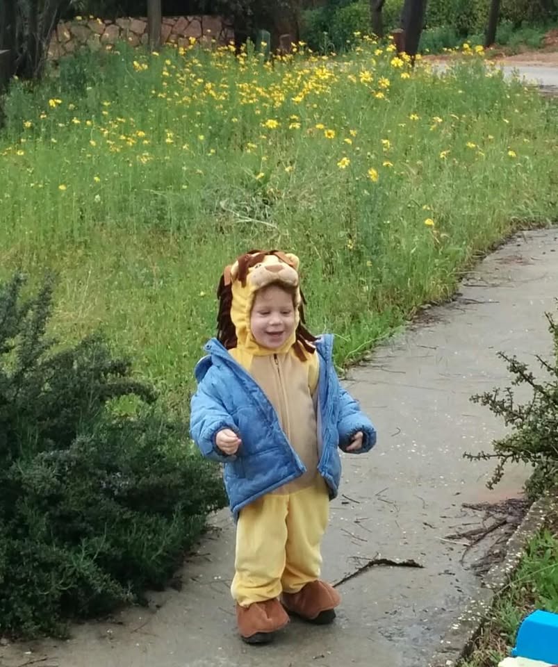 אריה בגשם, בדרך למסיבת פורים בגן