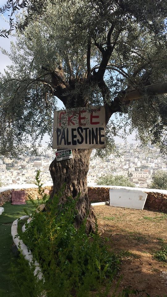 הנוף מבית Youth Against Settlements ליד תל רומידה בחברון