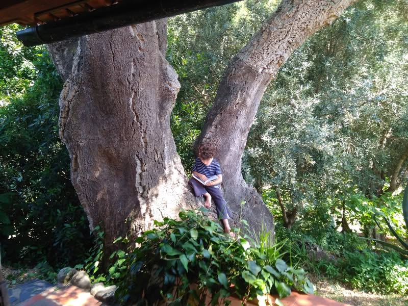 אחרי קצת יותר משנה שאנחנו כאן, הרגשתי פתאום מוכן. להלן…