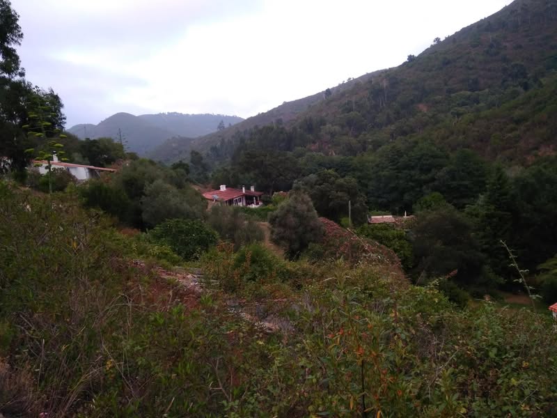 אחרי קצת יותר משנה שאנחנו כאן, הרגשתי פתאום מוכן. להלן…