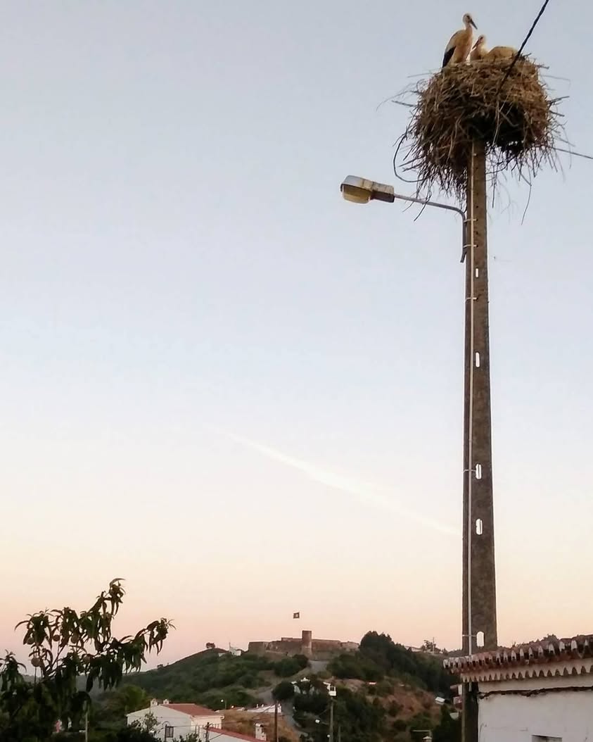 מה נשתנה גם אם נעבור או נחזור, גם אם החיים…