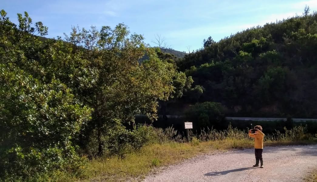 מה נשתנה גם אם נעבור או נחזור, גם אם החיים…