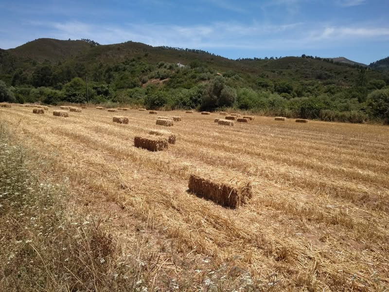 יומן פורטוגל – 3 לפרק הבא: https://m.facebook.com/gilrimon/posts/10155793856561858 לפרקים קודמים: https://www.facebook.com/gilrimon/posts/10155301118096858…