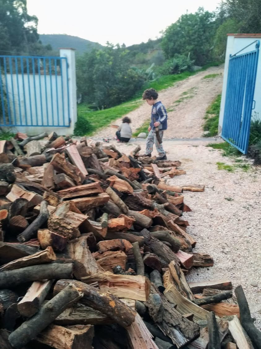 יומן פורטוגל (4): יומן חורף * חורף ימי חורף, דרום…