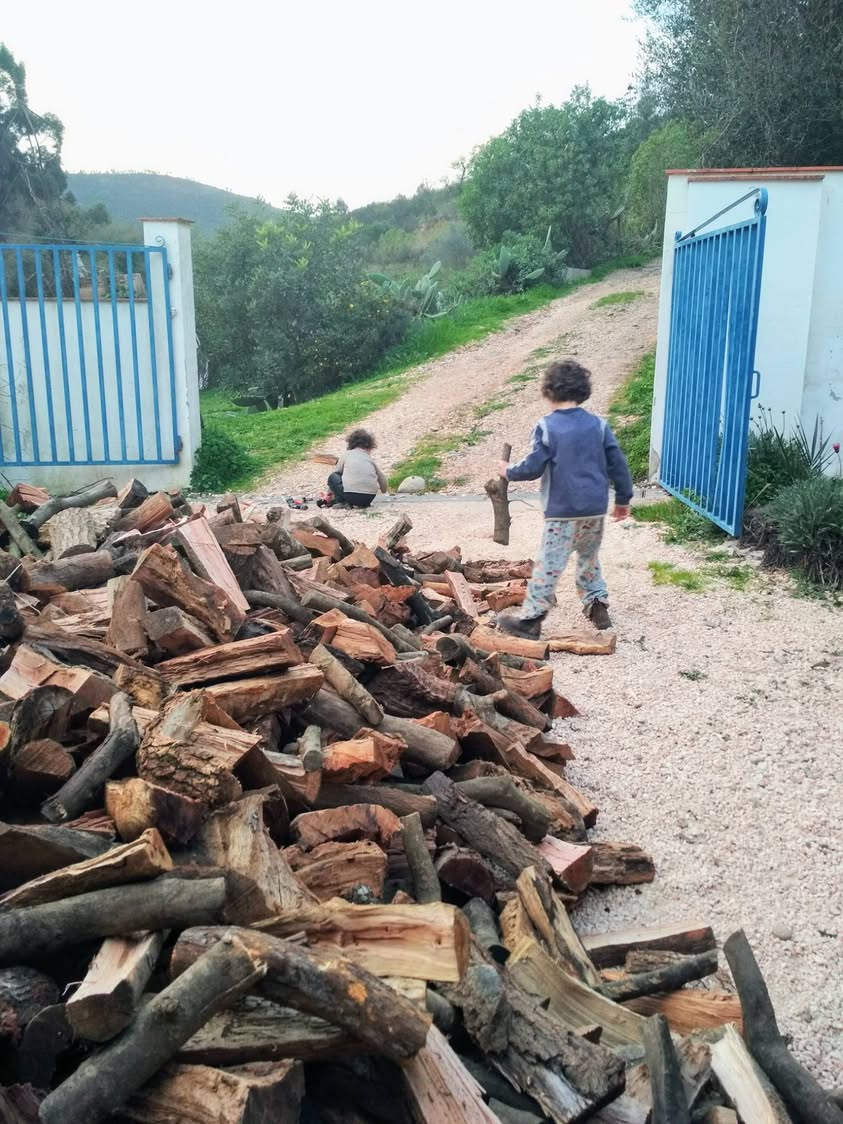 יומן פורטוגל (4): יומן חורף * חורף ימי חורף, דרום…