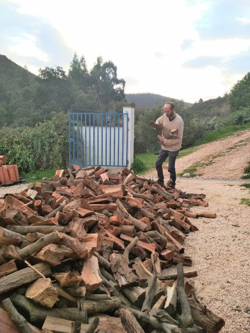 יומן פורטוגל (4): יומן חורף * חורף ימי חורף, דרום…