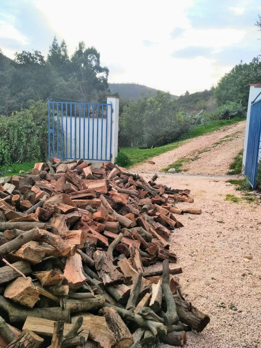 יומן פורטוגל (4): יומן חורף * חורף ימי חורף, דרום…