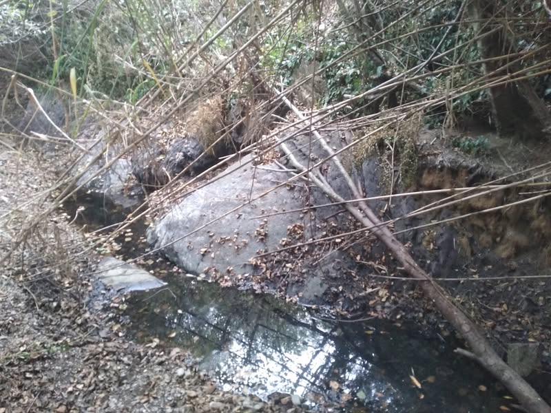 הגשם יבוא תחילת ספטמבר, 30 מעלות. מנבאים אוקטובר גשום במיוחד,…