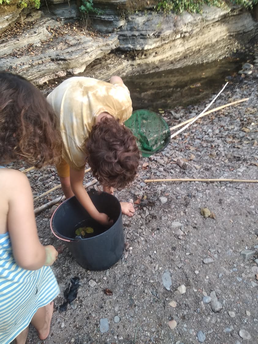 הגשם יבוא תחילת ספטמבר, 30 מעלות. מנבאים אוקטובר גשום במיוחד,…