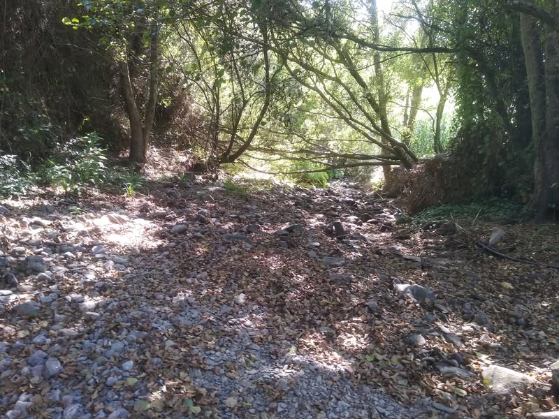 הגשם יבוא תחילת ספטמבר, 30 מעלות. מנבאים אוקטובר גשום במיוחד,…