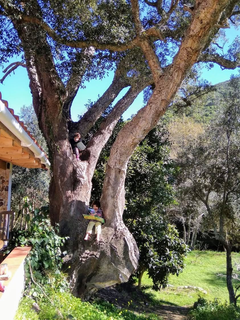 שלום לכולם! אם חשקה נפשכם בחופשה רגועה, חורפית וזולה באירופה,…