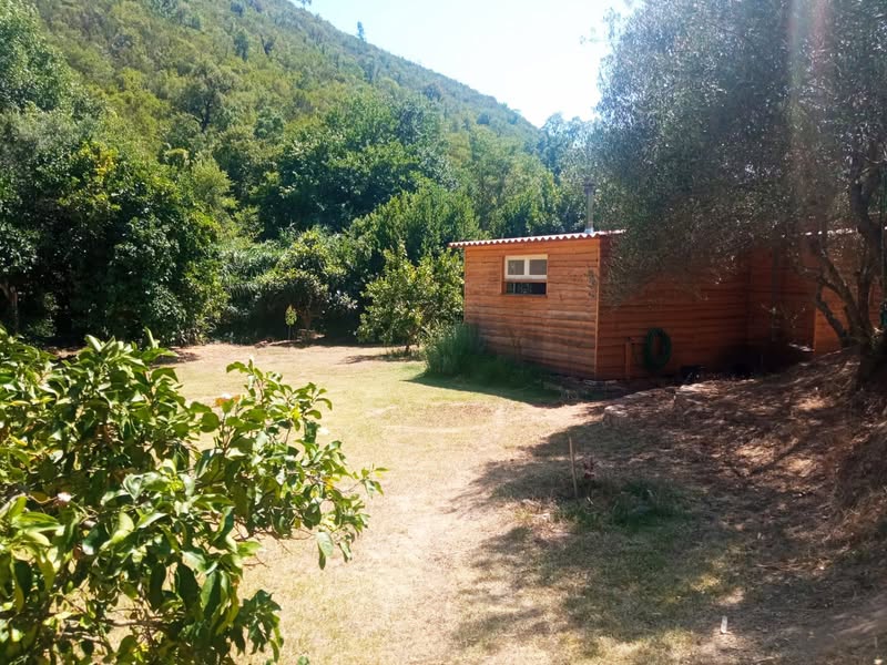 שלומות וחג חירות שמח! הבקתה שלנו בקצה היער, אי-שם בעמק…