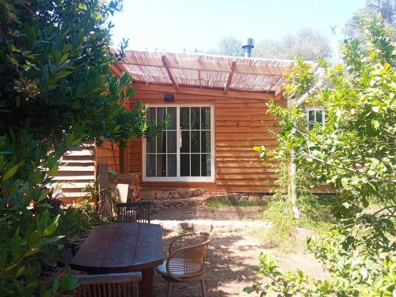 שלומות וחג חירות שמח! הבקתה שלנו בקצה היער, אי-שם בעמק…