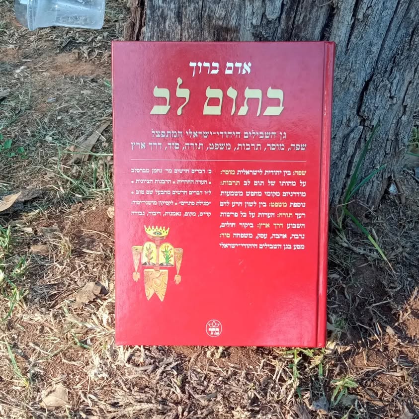 מדף: ספרים שחיכו בארון בסבלנות שאקרא אותם בתזמון מושלם