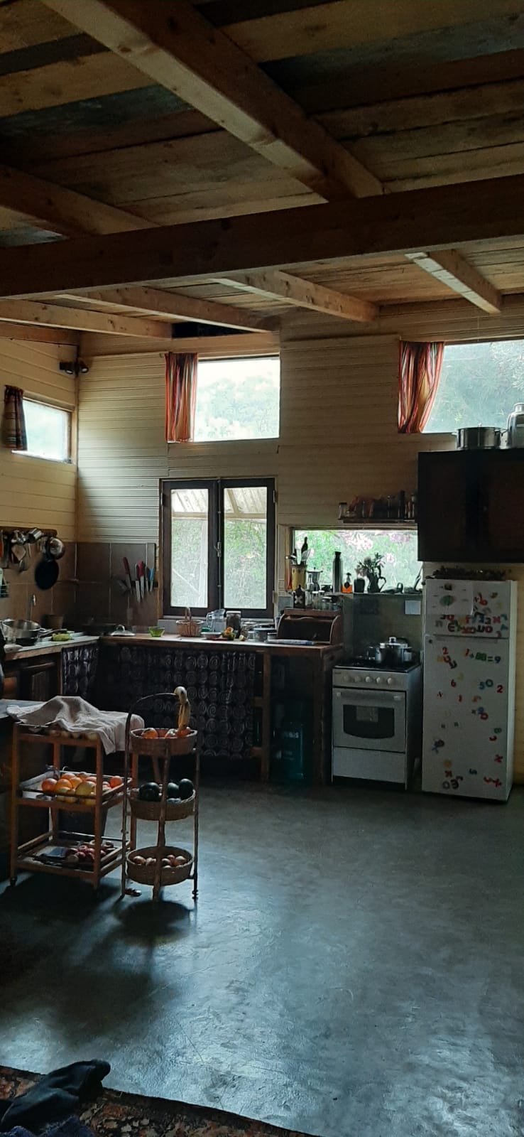 דפנה וארתורו הגיסים האהובים שלנו נוסעים לטיול ארוך, ואתם יכולים…