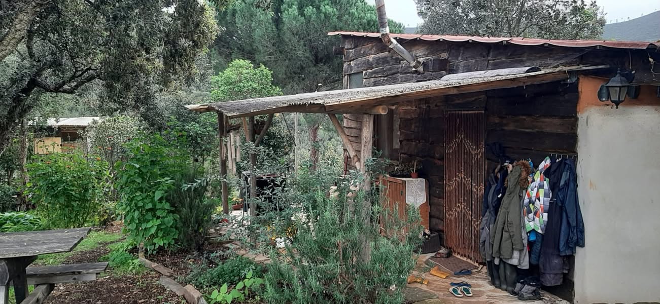 דפנה וארתורו הגיסים האהובים שלנו נוסעים לטיול ארוך, ואתם יכולים…