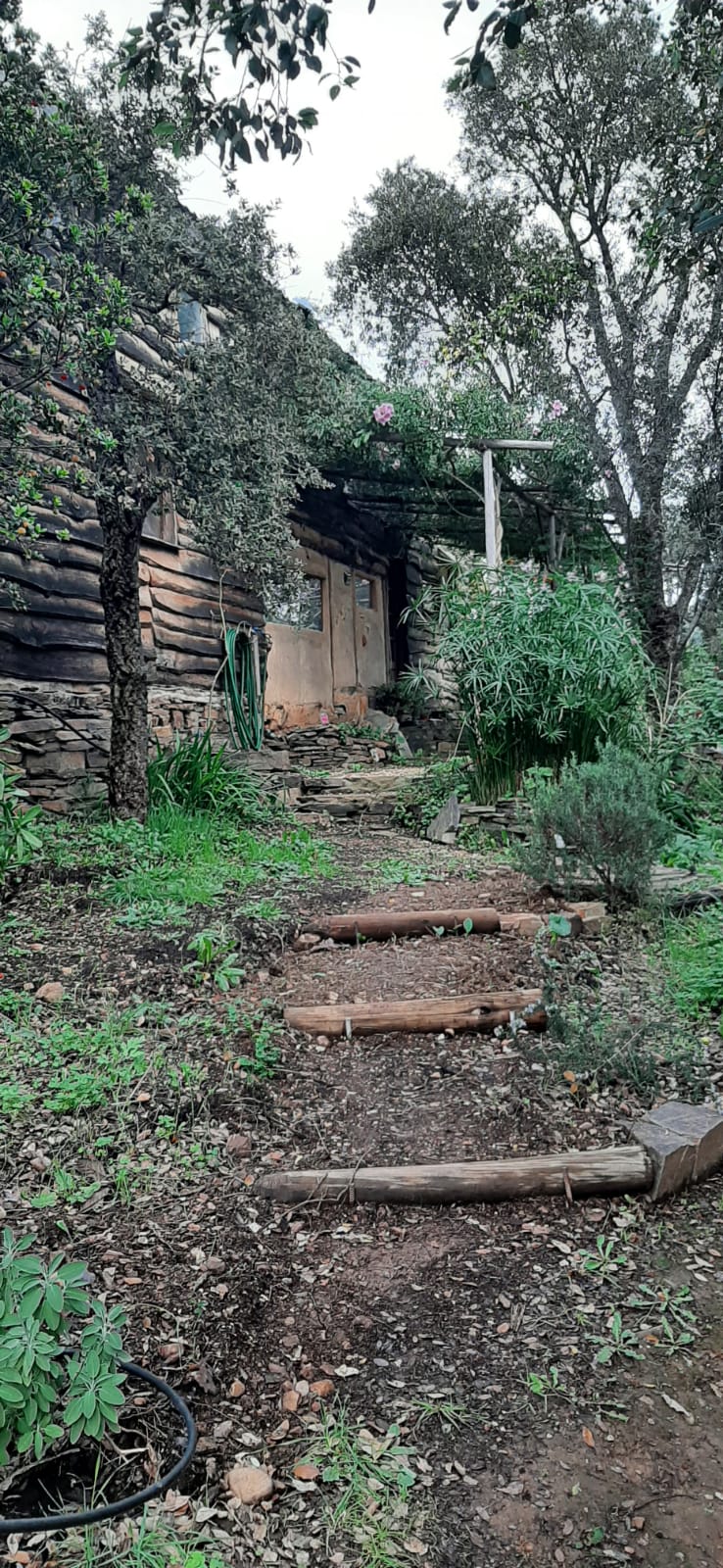 דפנה וארתורו הגיסים האהובים שלנו נוסעים לטיול ארוך, ואתם יכולים…