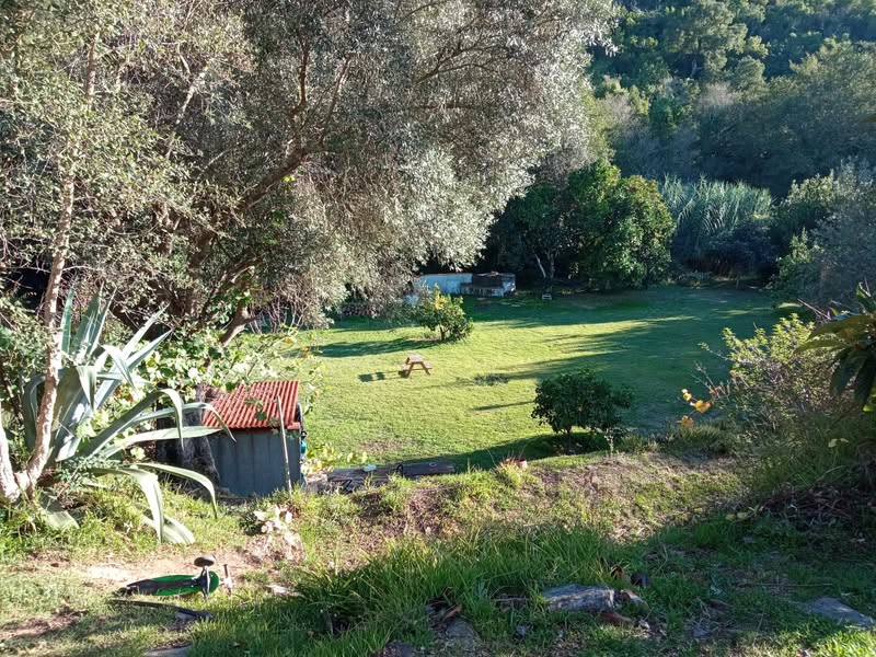 תל אביבים שלום! מעוניינים לנפוש בעמק שקט וירוק בדרום פורטוגל…