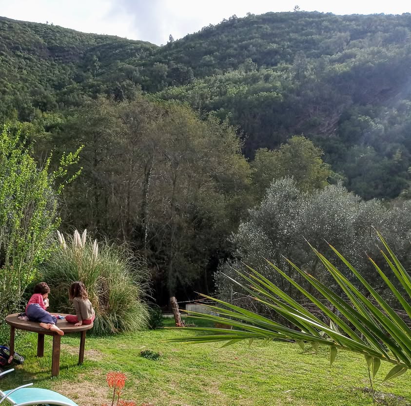 שלום לכולם! אנחנו משכירים את הבית היפה שלנו בין התאריכים…