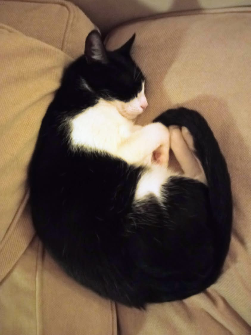 שלום לכולם! אנחנו משכירים את הבית היפה שלנו בין התאריכים…